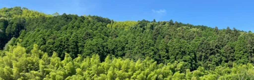 福岡県みやま市あすなろフリースクール